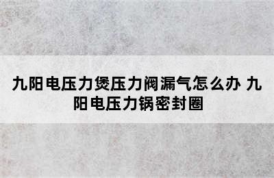 九阳电压力煲压力阀漏气怎么办 九阳电压力锅密封圈